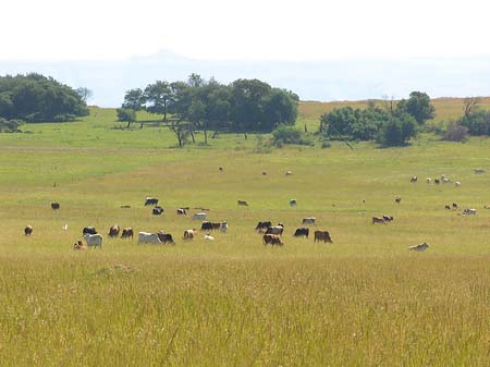 Landschaften Fotos