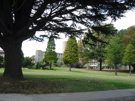 Straßenrand