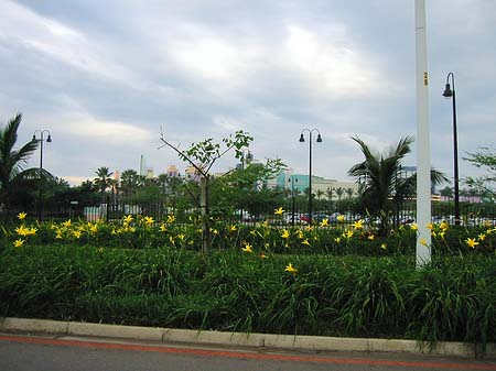 Fotos Straßenrand