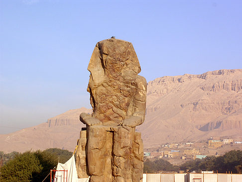Foto Koloss von Memnon - 