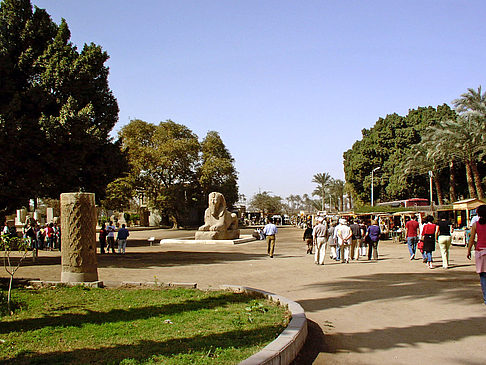 Park Foto 