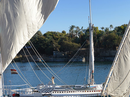 Boote