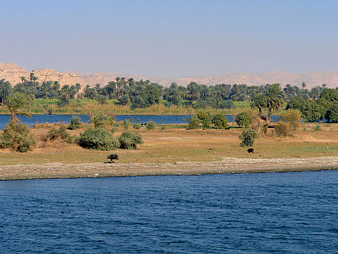 Fotos Ufer | 