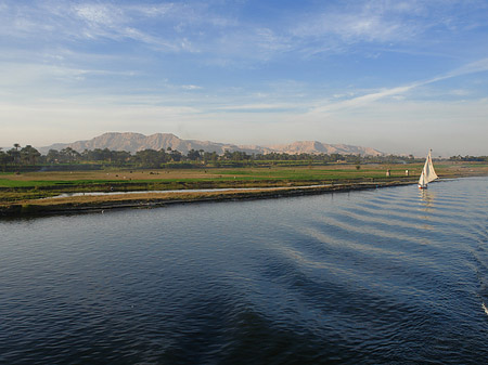 Fotos Felucca | 