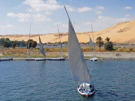 Felucca Foto 