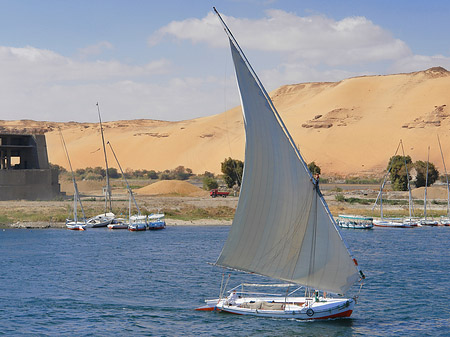 Felucca Foto 