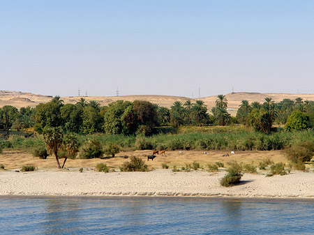 Foto Ufer