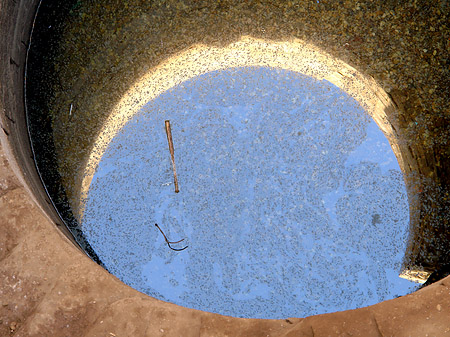 Brunnen Fotos