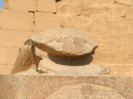 Fotos Statuen | 