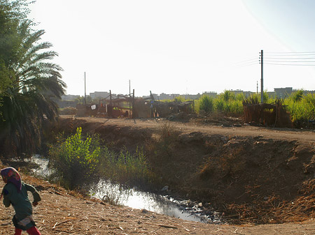 Foto Ackerland - Luxor