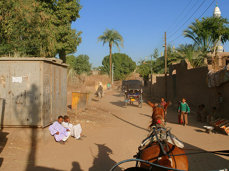 Fotos Kutschen | Luxor