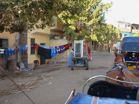 Fotos Kutschen | Luxor
