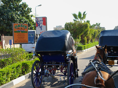 Fotos Kutschen | Luxor