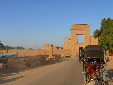 Fotos Kutschen | Luxor