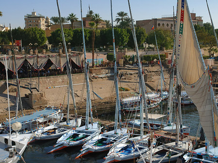 Foto Felucca