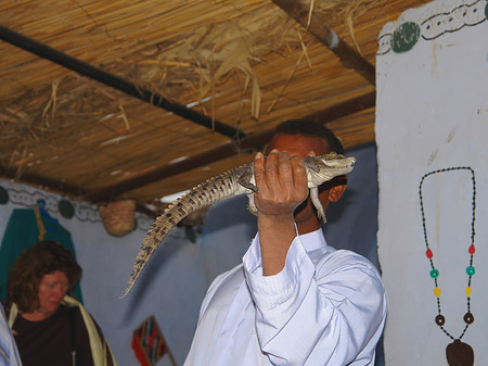 Fotos Mann mit Krokodil | 