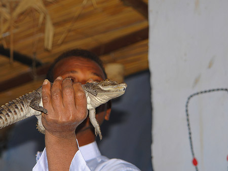 Foto Mann mit Krokodil