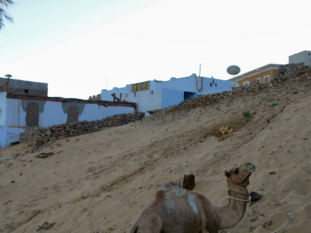 Fotos Strand | 