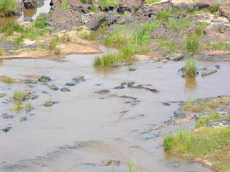 Fluss in Olifants