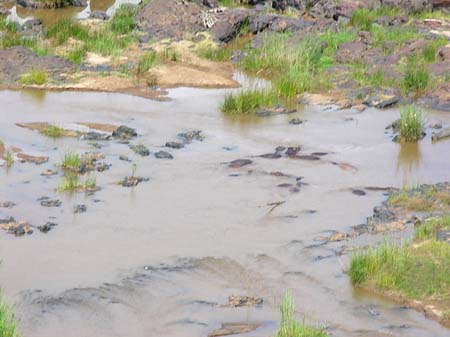 Fluss in Olifants