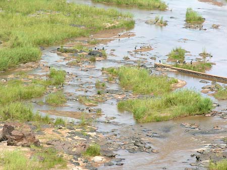 Foto Fluss in Olifants