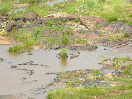 Fotos Fluss in Olifants