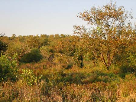 Foto Landschaften - 