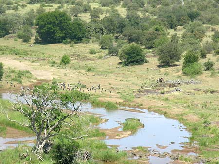 Foto Landschaften - Olifants
