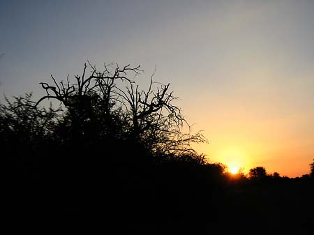 Sonnenuntergang Fotos