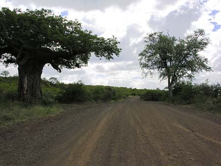 Fotos Straßen