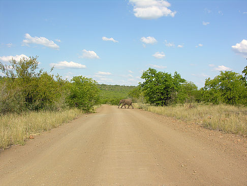 Fotos Straßen