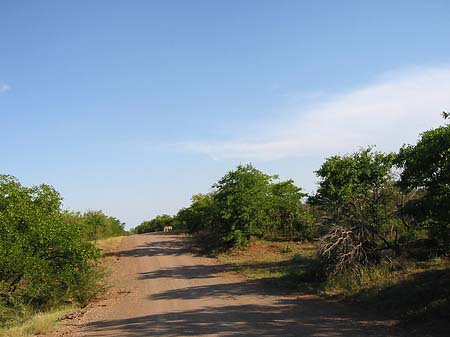 Straßen Foto 