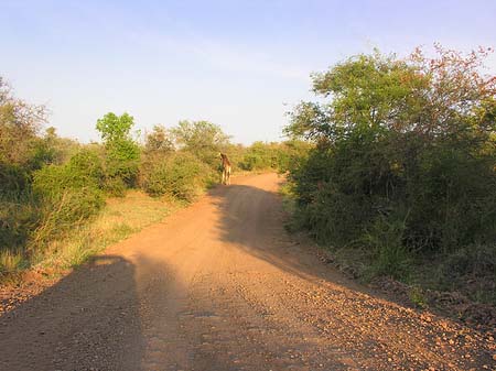 Fotos Straßen | 