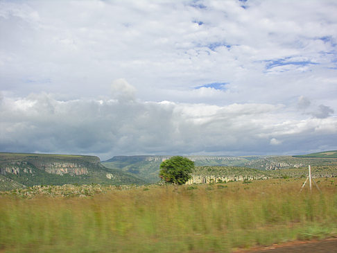 Fotos Straßenränder