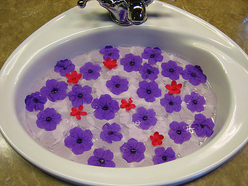 Foto Blumen
