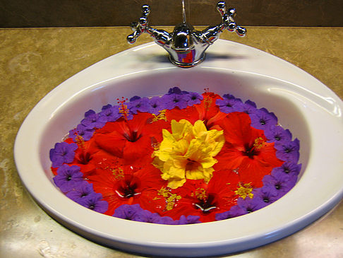 Foto Blumen - 