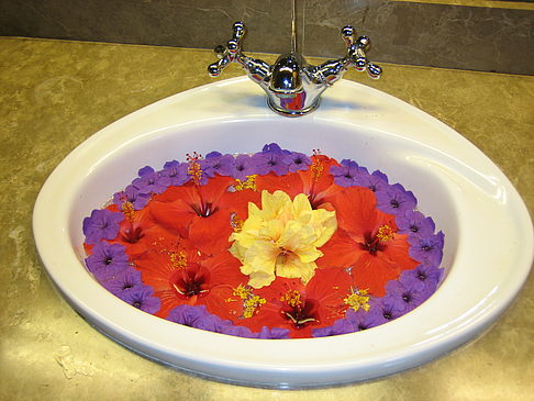Blumen