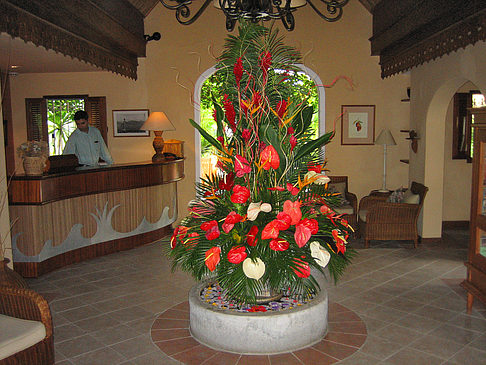 Foto Blumen - 