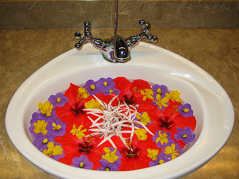 Blumen Fotos