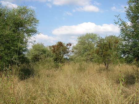 Fotos Landschaften