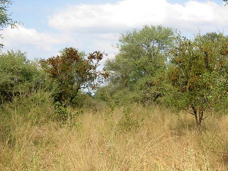 Fotos Landschaften | 