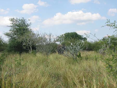 Fotos Landschaften | 