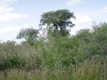 Foto Landschaften