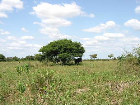 Landschaften