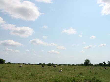 Landschaften Fotos