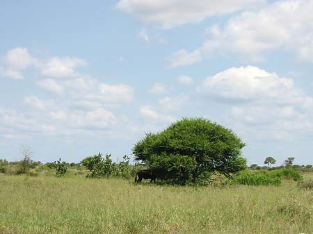 Fotos Landschaften | 