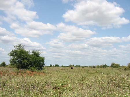 Foto Landschaften