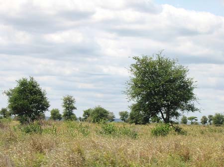 Landschaften