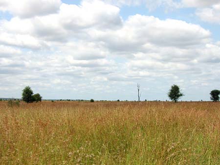 Landschaften