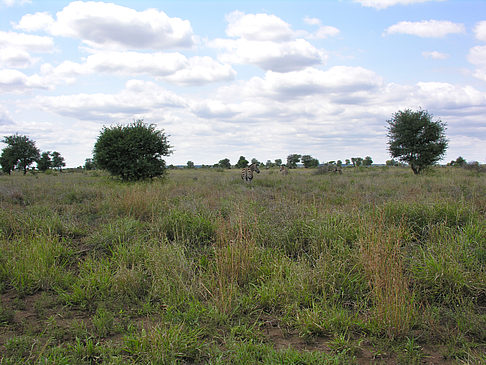 Foto Landschaften - 